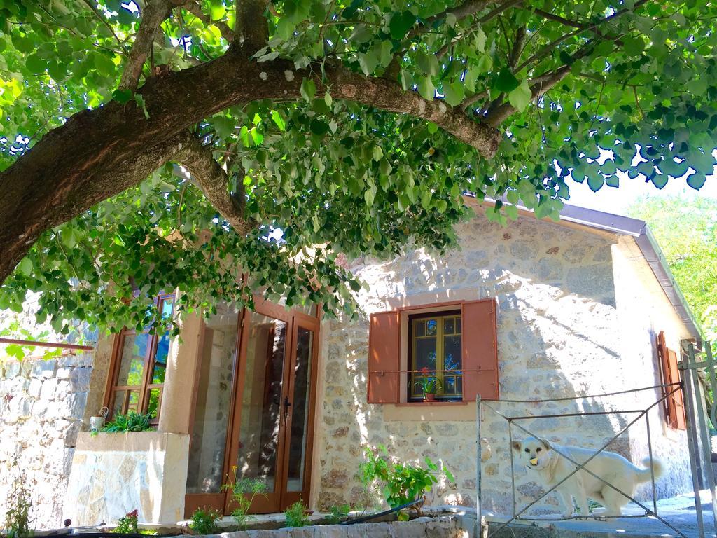 Ethno House Ivanovic Вирпазар Екстериор снимка